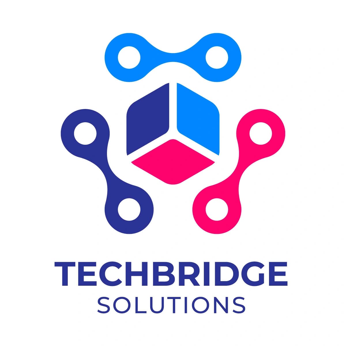 TechBridge Solutions